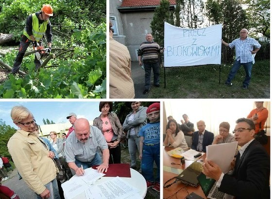 Tydzień walki o drzewa na Wzgórzu Braniborskim. Wycinka wstrzymana (zdjęcia, wideo)