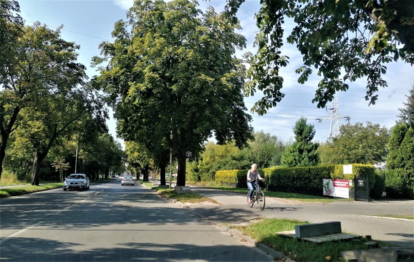 Wzdłuż ulicy Grota Roweckiego w Pabianicach budują drogę rowerową ZDJĘCIA