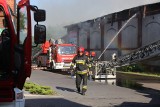 Koniec śledztwa w sprawie podpalenia hal magazynowych przy ulicy Skargi w Chorzowie