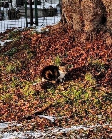 Ludzka podłość nie zna granic! Ktoś chciał się pozbył swoich...