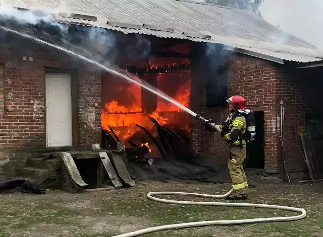 Do pożaru doszło w niedzielę po południu w Tarnobrzegu - Ocicach