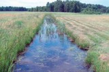 Chcą wyczyścić rowy, ale brakuje  im na to pieniędzy