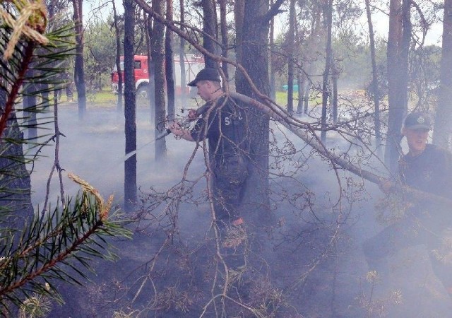 Gaszenie pożaru w gminie Radomyśl nad Sanem.