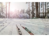 Trasy narciarskie w Puszczy Augustowskiej są już gotowe. Start 12.02.2021 [Zdjęcia]