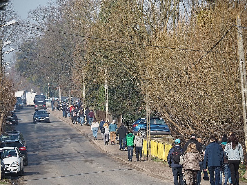 Pierwotnie największa w Polsce licytacja koni miała się...