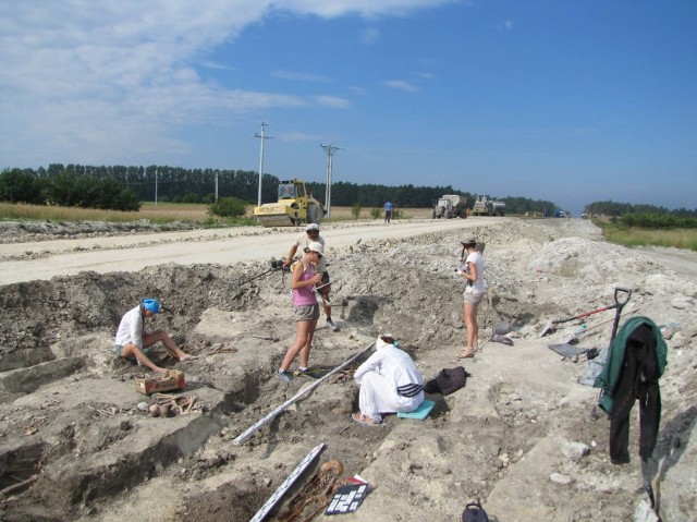 Archeolodzy pracowali pół roku - odkryli 1650 pochówków.