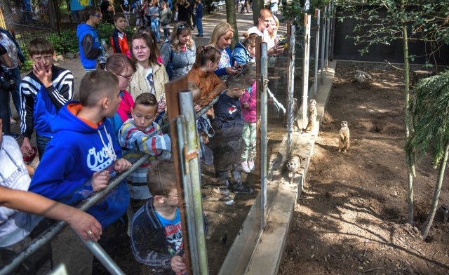 Uśmiechnięty dzień w bydgoskim Myślęcinku.