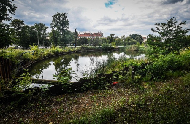 Na Babiej Wsi bez zmian. Budowy nie ma, tramwajów też, ale jest niewielkie jezioro.