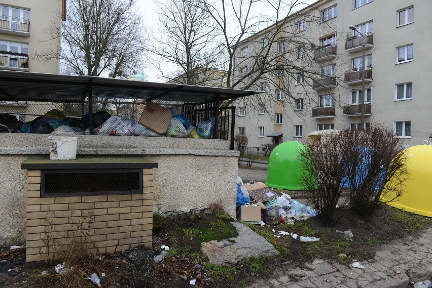 W siedzibie Biura Obsługi Mieszkańców nr 6 przy ulicy Brzask...