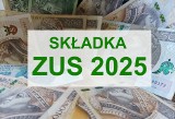 Składka ZUS w 2025 - oto pierwsze wyliczenia. Ile zapłacą osoby prowadzące działalność gospodarczą?