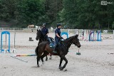 Szkolenie policyjnych koni. Horus i Karmel zdawały dziś egzamin [ZDJĘCIA, WIDEO]