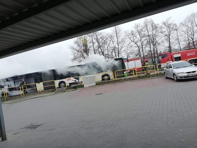 Szczecin: Pożar autobusu na Gumieńcach [ZDJĘCIA]