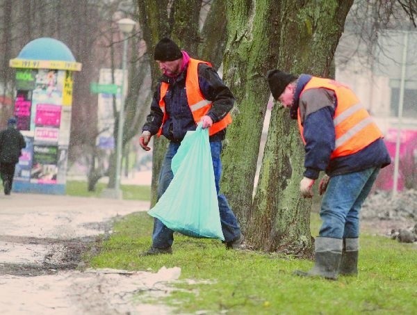 Pracownicy MPO sprzątali w czwartek tereny zielone wzdłuż al. Piłsudskiego