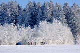 Zima astronomiczna 2022. Kiedy pierwszy dzień zimy? Czym różni się astronomiczna zima od kalendarzowej? 