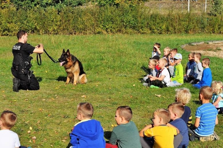 Ma niezawodny węch. Nazywa się Jawol i wspiera bytowskich...