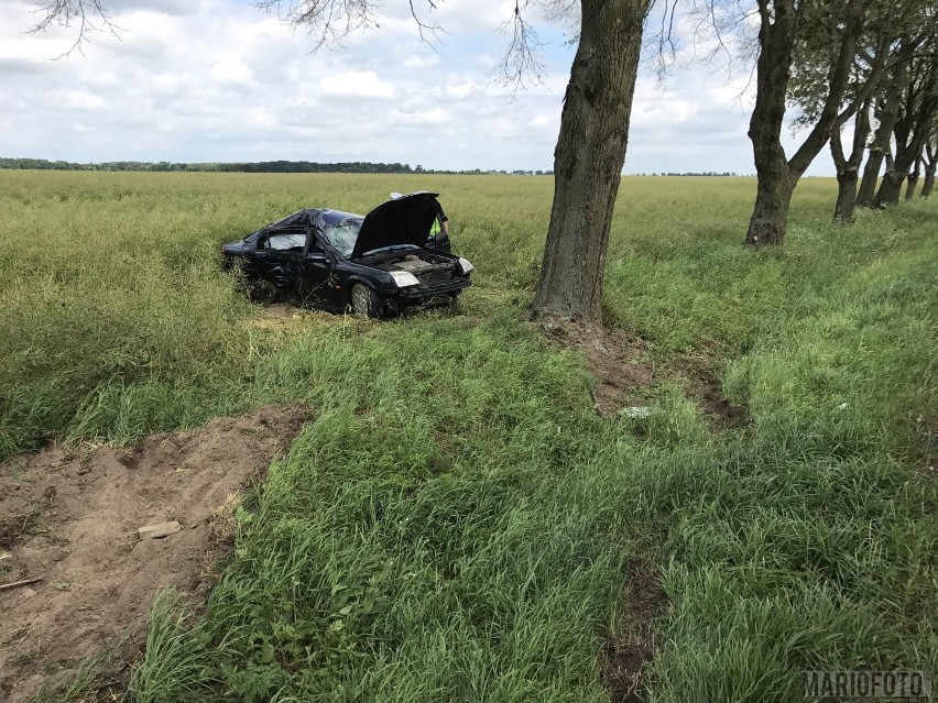 Wypadek Między Krzywizą i Sarnowem.