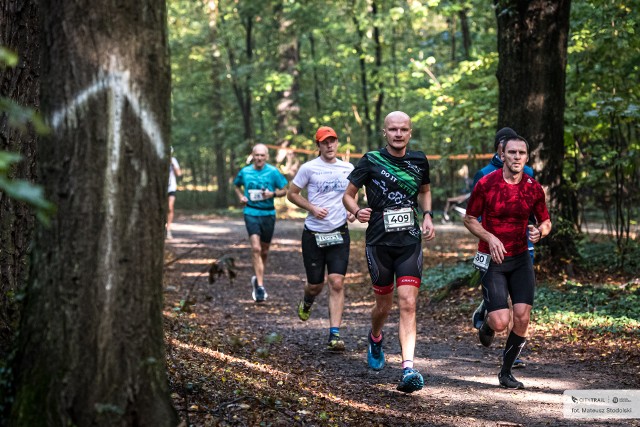 Zobacz relację z biegu City Trail, który odbył się w Lesie Osobowickim na zdjęciach w naszej galerii.