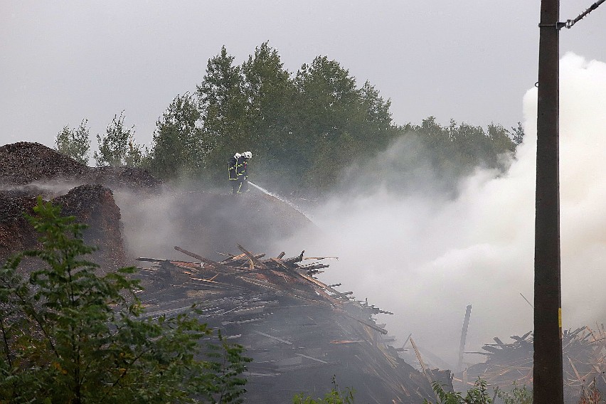 Pożar na Olechowie w Łodzi. Palą się drewniane odpady koło stacji kolejowej na Olechowie. Strażacy od rana gaszą ogień ZDJĘCIA 14.10.2020