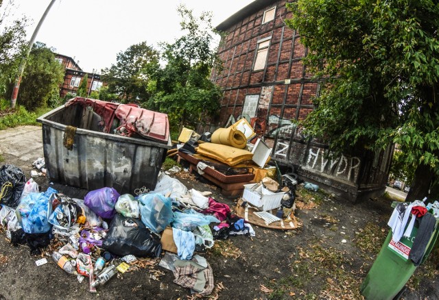 Budynek Pomorska 77Nici z przetargu na siedzibę ngosów na Pomorskiej