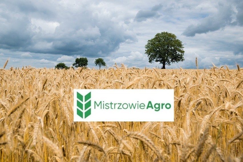 Mistrzowie Agro. Trwa etap wojewódzki, pozmieniało się na liście najpopularniejszych rolników!