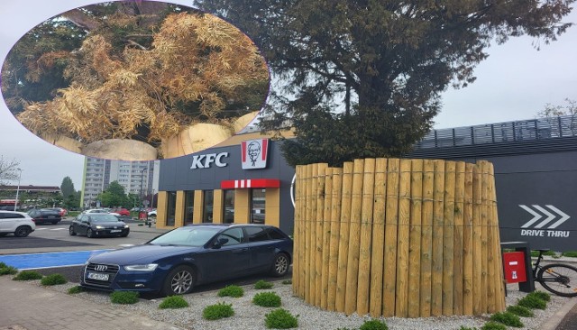 Happening zaplanowano na najbliższy piątek o godzinie 16 przed budynkiem KFC przy ul. Niemodlińskiej.