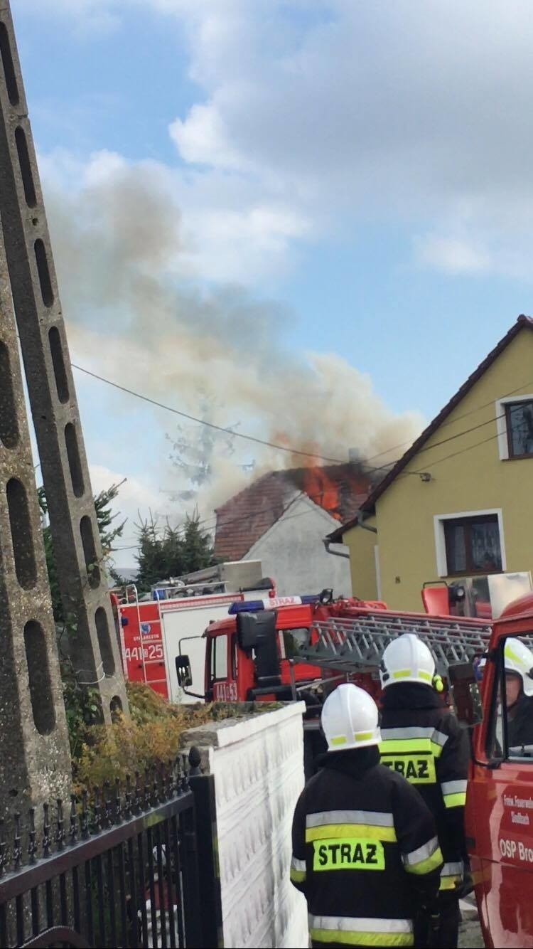 Spłonął dom jednorodzinny w Brożcu w powiecie krapkowickim....