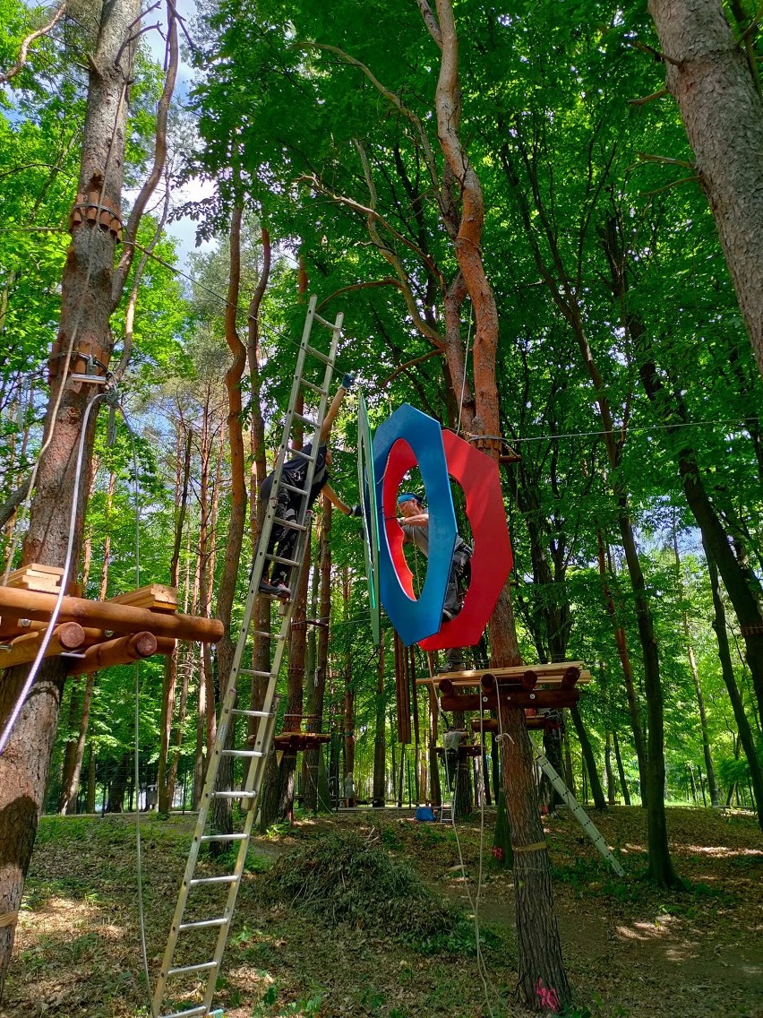 W Sosnowcu w Kazimierzu Górniczym powstaje park linowy. Lina...