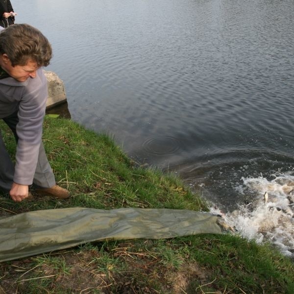 Ryby z cysterny do zalewu dostały się taką rurą.