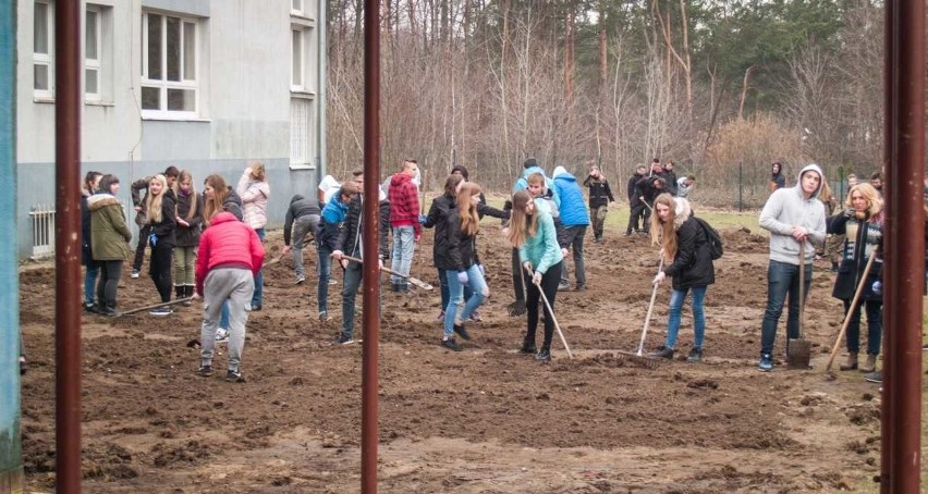 Nauczyciele i uczniowie Zespołu Szkół w Wolbromiu zasiali łąkę kwietną 