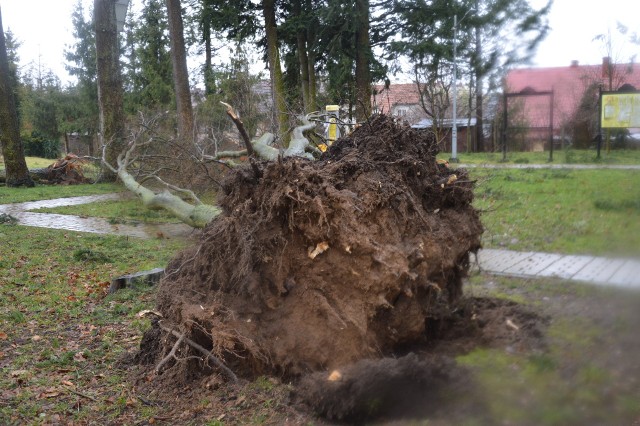 W powiecie bytowskim orkan Nadia siał spustoszenie.