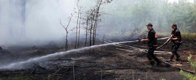 Gaszenie pożaru lasu jest wyjątkowo trudne ze względu na trudny dojazd z wodą i sprzętem