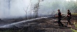 Spłonęło 5 ha lasu koło Jamnicy, wybuchł pożar lasu w Słomianej (mapa)