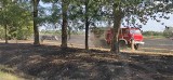Niedaleko Torzymia spłonął wóz strażacki! Brał udział w gaszeniu pożaru