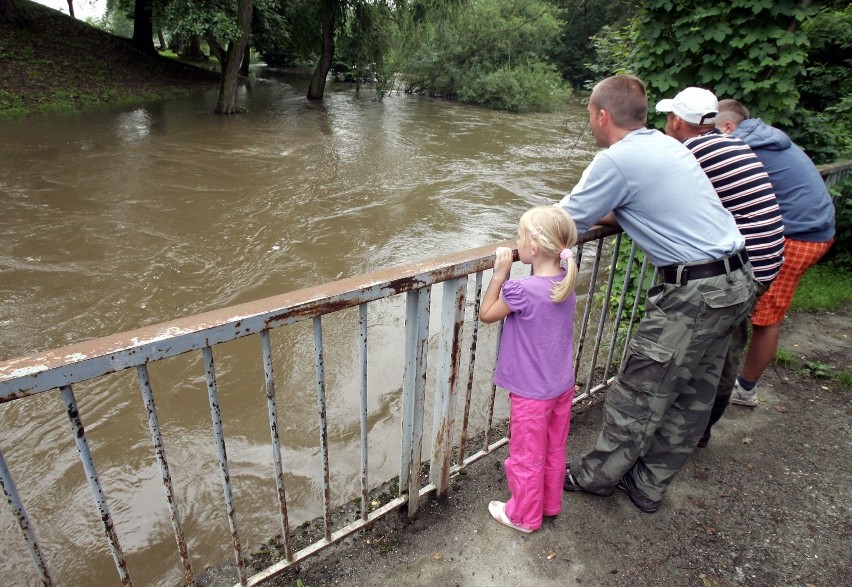 Most na Bystrzycy w Samotworze przy pałacu. Stąd okoliczni...