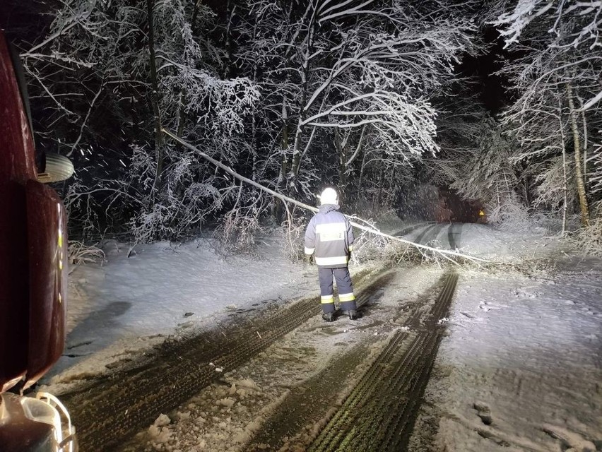 Atak zimy i pracowita noc ostrowieckich strażaków. Mnóstwo połamanych drzew. Zobacz zdjęcia