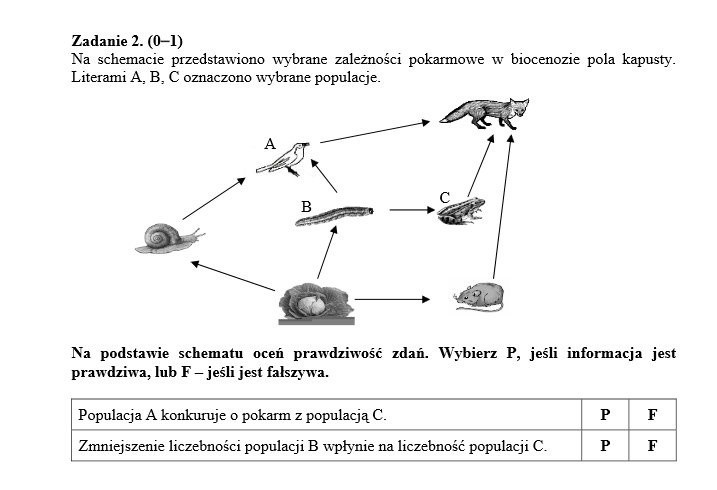 Egzamin gimnazjalny 2014 - PRZECIEKI, ARKUSZE PYTAŃ CKE,...