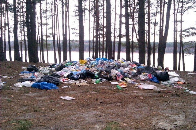 Takie stosy śmieci zalegają w lesie nad brzegiem zalewu Chańcza.