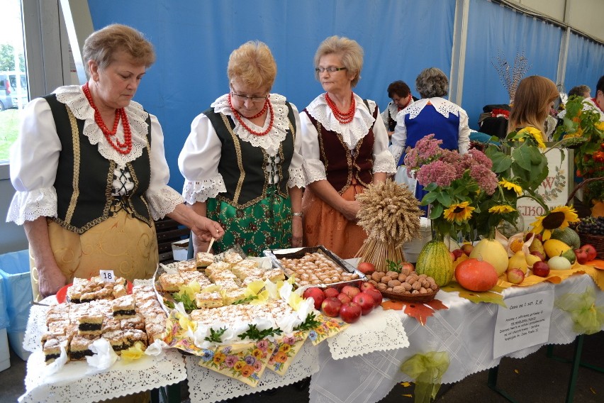 Festiwal kołocza śląskiego w Żorach