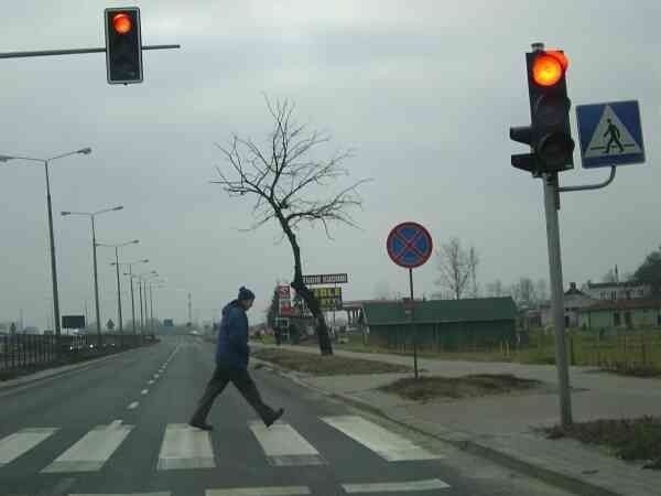 Na przejściu dla pieszych na ulicy Żwirku i Wigury piesi mogą czuć się bezpieczniej. Chroni ich sygnalizacja świetlna.