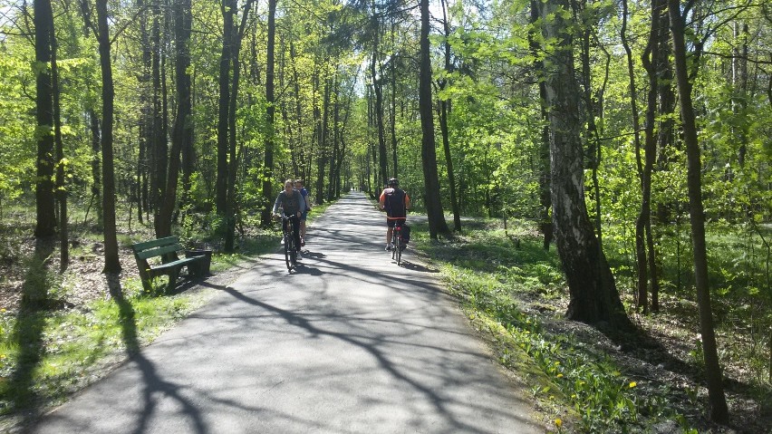 Trasa rowerowa nr 1 w Katowicach