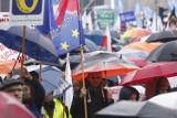 Likwidacja gimnazjów. Nauczyciele ze Słupska protestowali w Warszawie (zdjęcia, wideo)