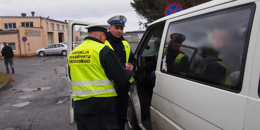 Świebodzińska policja wspólnie z Inspekcją Transportu...