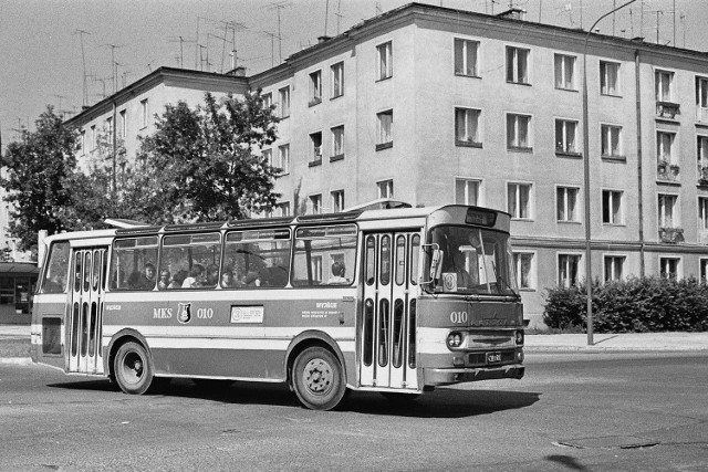 1 kwietnia 1976 roku na ulicach Stalowej Woli pojawiły się pierwsze autobusy stalowowolskiej Miejskiej Komunikacji Samochodowej.