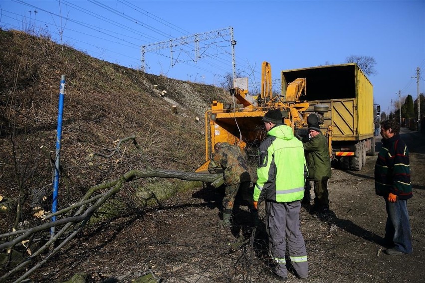 PKP wycinają prawie 900 drzew w Piotrkowie i powiecie