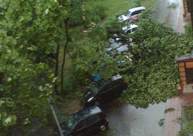 Niedzielna burza w Białymstoku łamała drzewa i gałęzie