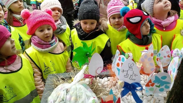 To już taka tradycja przed wielkanocnymi świętami. Imprezę co roku organizuje radna Eleonora Szymkowiak, prowadząca fundację Mecenat Złotego Serca. W tym roku w zabawie wzięło udział około 900 przedszkolaków, które świetnie się bawiły. Dzieci z radością szukały zajączka po deptaku. Zaglądały wszędzie, aż po 30 minutach udało się go odnaleźć grupie pięciolatków z Przedszkola na 7 w Zielonej Górze. Czytaj również: Małe mądrale. Jaki kolor ma wiosna? [WIDEO]