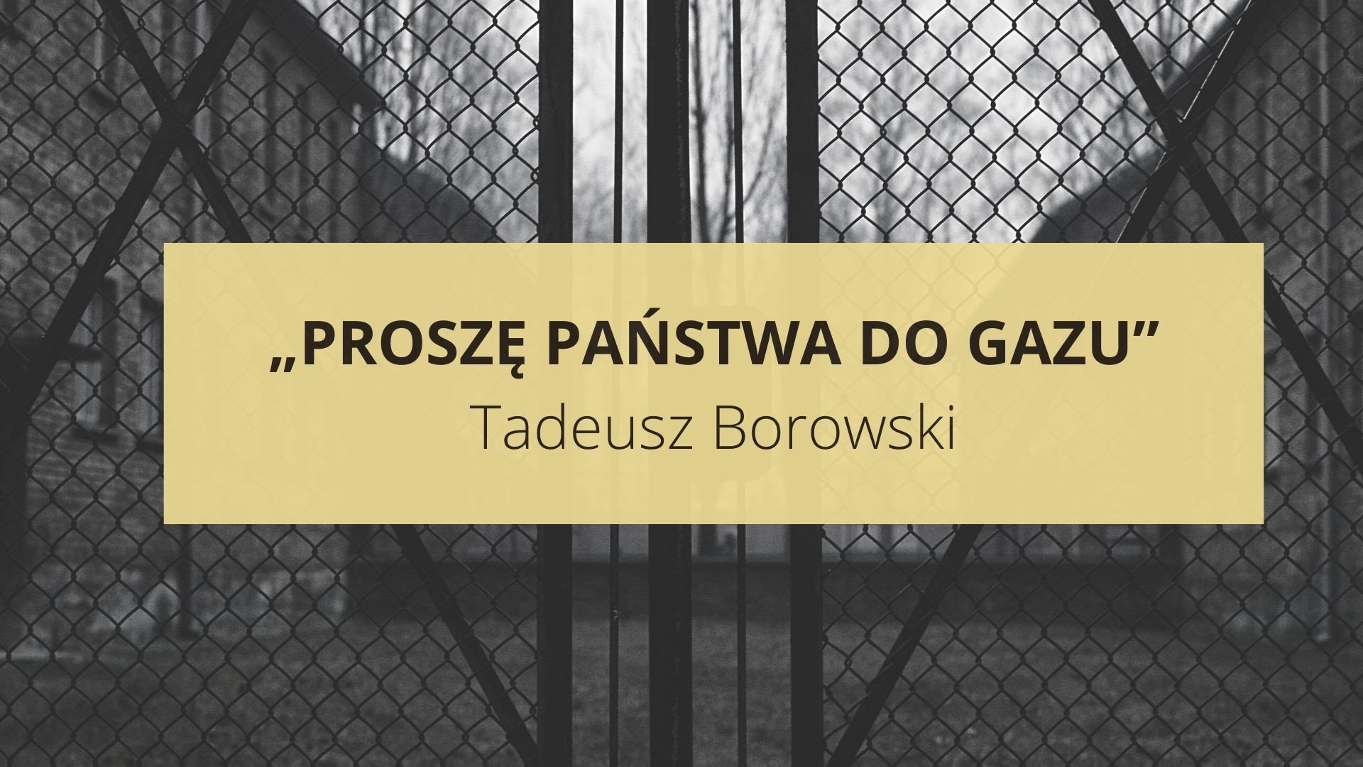 „Proszę państwa do gazu” Tadeusz Borowski. To trzeba wiedzieć o