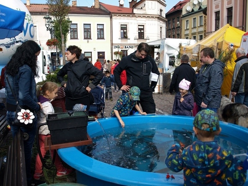 Regionalne Dni Rybactwa w Skoczowie