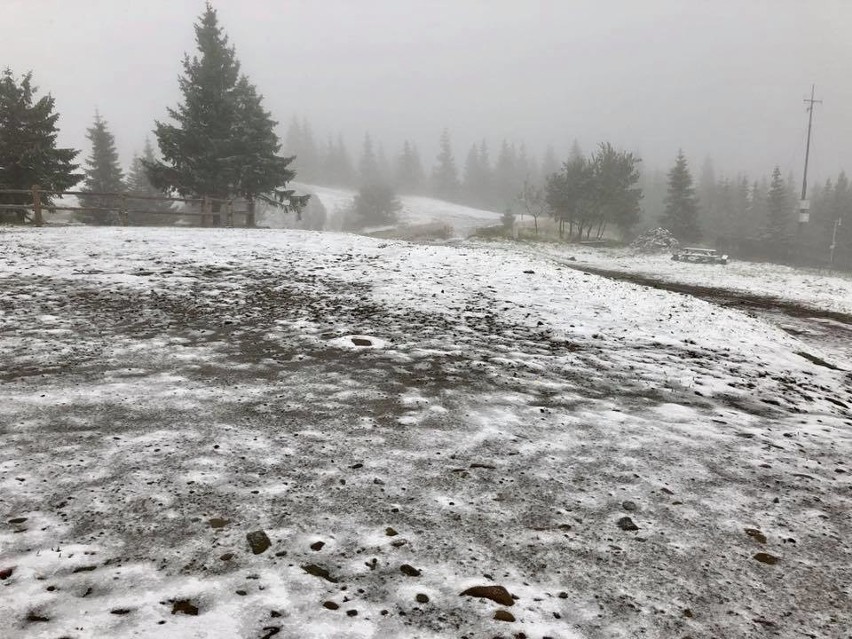 Pierwszy śnieg w Beskidach w tym roku spadł wyjątkowo szybko