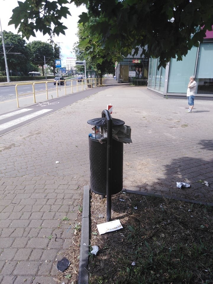 Toruń tonie w śmieciach! Oto zdjęcia mieszkańców. Radni apelują do prezydenta o reakcję